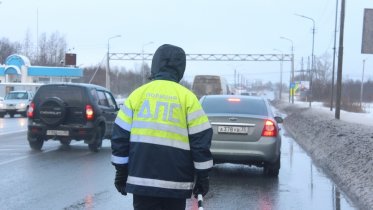 Фото: Свыше сотни пешеходов оштрафовали за выходные в Череповце