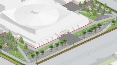 Фото: Кленовая аллея может появиться в Череповце вблизи Колхозного рынка