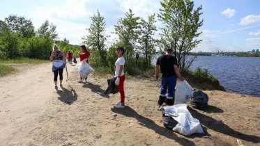 Фото: Череповецкие леса очистят от мусора