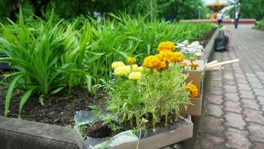 Фото: 50 участников претендуют на грант «Северстали»