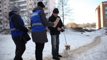 Фото: В Зашекснинском районе хозяевам собак раздали дог-пакеты