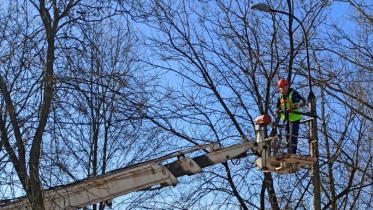 Фото: Путь к детсадам и школам в Череповце станет светлее