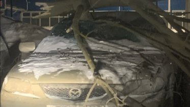 Фото: Штормовой ветер побил машины в Череповце