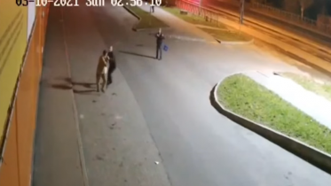Фото: Подозреваемый в причинении смертельной травмы мужчине, арестован в Череповце