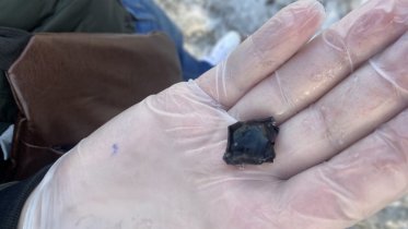 Фото: Закладчика наркотиков задержали в Череповце