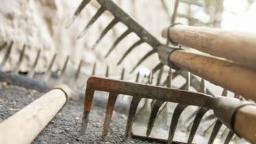 Фото: Прием заявок на городские субботники стартовал в Череповце