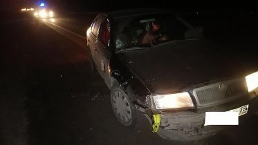Фото: В Череповецком районе произошло смертельное ДТП