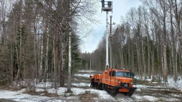 Фото: В Череповецком районе очищены ЛЭП от поросли и деревьев