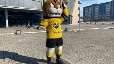 Фото: Рысенок Сева опять лишился лапы