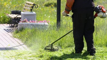 Фото: 100 косарей требуется Череповцу на лето