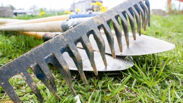 Фото: Прием заявок на субботники продлен в Череповце