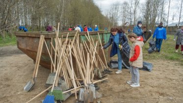 Фото: В Череповце состоится субботник «Зеленый десант»