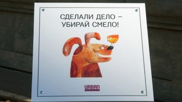 Фото: Череповчанам напомнят о необходимости уборки за животными