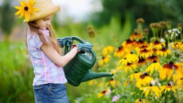 Фото: Череповецкие школьники освоят озеленение и деревообработку