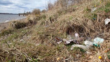 Фото: Завалы мусора и остатки кострищ исчезнут с берега Шексны у «Адониса»