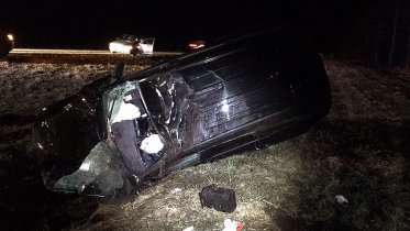 Фото: В ДТП с лосем в Череповецком районе есть пострадавшие