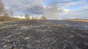Фото: Вблизи Нелазского кладбища произошло возгорание травы