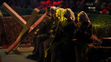 Фото: Театрализованный концерт ко Дню Победы состоялся в Ледовом дворце