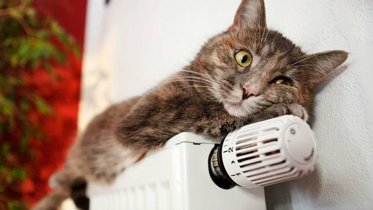 Фото: В Череповце передумали отключать отопление