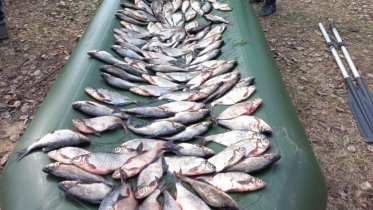 Фото: Браконьер из Ленобласти попался в Череповецком районе