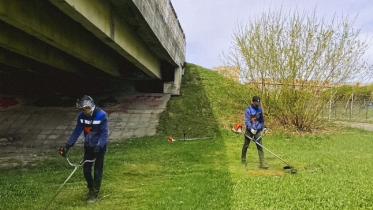 Фото: В Череповце начинают стричь газоны