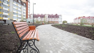 Фото: В сквере на Городецкой высадят порядка 100 деревьев