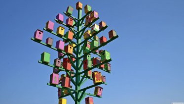 Фото: Общежитие для птиц построили в Череповце