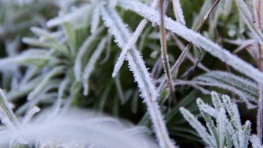 Фото: Череповецкий район снова ощутит заморозки