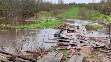 Фото: Жителям Череповецкой деревни предложили эвакуацию