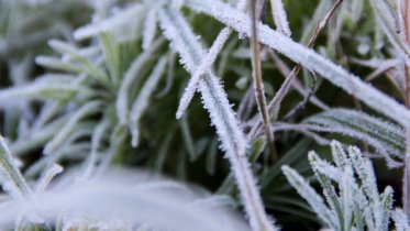 Фото: Череповчанам не обещают тепла до конца мая