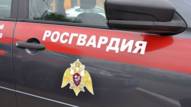 Фото: Череповчанин «под градусом» попался на неудачной краже коньяка