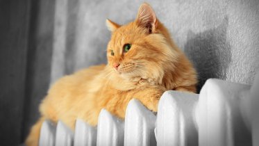 Фото: Отопительный сезон в Череповце не закончится