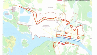 Фото: Первый этап обработки территорий от борщевика завершился в Череповце