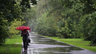 Фото: Череповчанам рассказали о погоде в первые летние дни