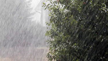 Фото: В Череповце непогода продержится все выходные