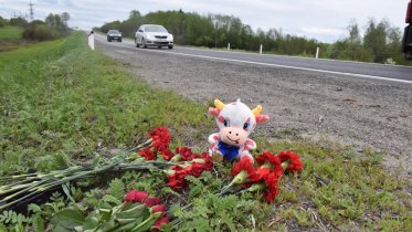Фото: Череповецкой школьнице, выжившей в ДТП, собрали еще около миллиона рублей