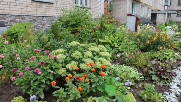 Фото: 30 заявок приняли в Череповце на конкурс «Цветущий город»