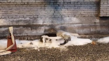Фото: В цехе «Северстали» произошел пожар