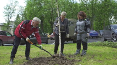 Фото: Аллея медиков появилась в Череповце