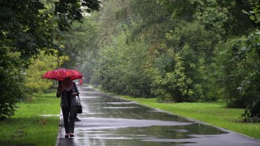Фото: Череповец накрыли дожди и похолодание