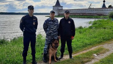 Фото: Утопающего молодого человека спасали ночью на Сиверском озере