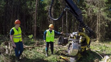 Фото: Лесное дело освоят череповецкие школьники