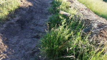 Фото: На пляже под Череповцом исчезает песок