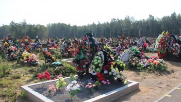 Фото: В Череповце планируют расширить кладбище № 5