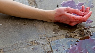Фото: В Череповце в мусорном баке обнаружили труп