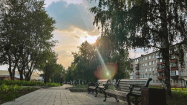 Фото: В Череповце при реконструкции сквера на Ветеранов сохранили деревья