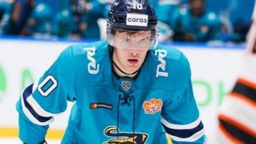 Фото: В составе череповецкой «Северстали» теперь новый нападающий