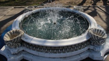 Фото: В фонтане у военного университета обнаружили рыбу