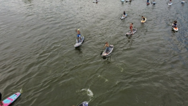 Фото: Очередной заплыв сапферов проведут под Череповцом