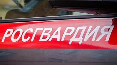 Фото: Двое череповчан в детском саду принялись вести себя неадекватно